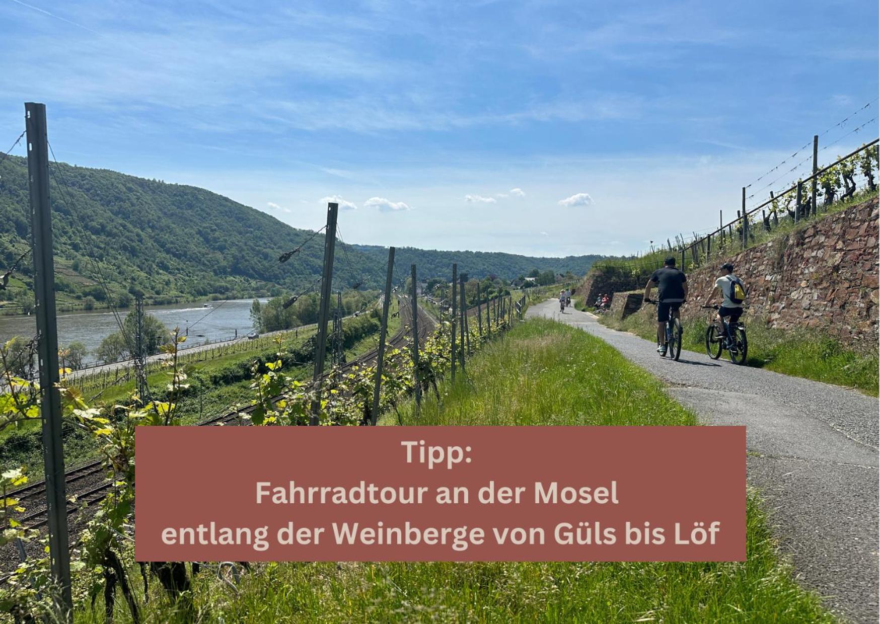 New York Apartment - Fuer Freunde & Familien, Stadtnah, Parkplatz, E-Ladestation, Gitterbox Fuer Fahrraeder, Fitnessstudio, Digitale Gaestemappe Mit Restaurant- Und Unternehmenstipps كوبلنس المظهر الخارجي الصورة